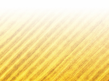 智能農(nóng)機、“訂單”服務、“云端”種菜——來自江西的春耕“新事”
